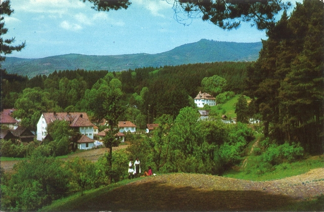 2069-1 - Vedere din Sângeorz-Băi